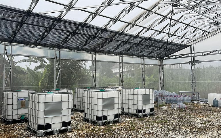 Green House Dalam